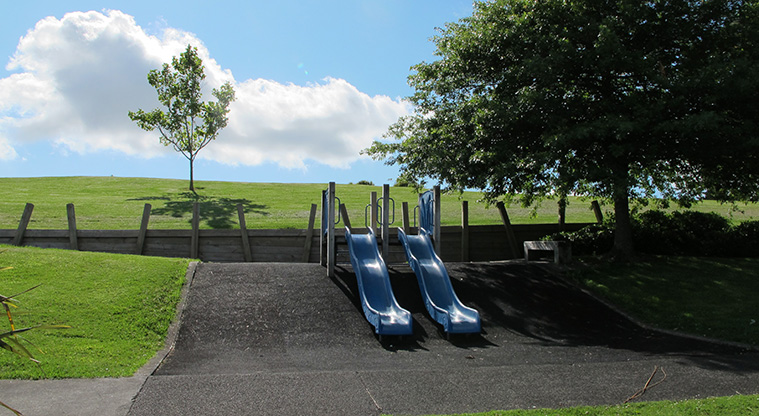 Manutewhau Path - Flaunty Reserve playground