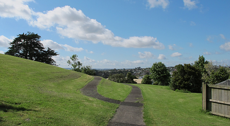 Manutewhau Path - Path through Flaunty Reserve