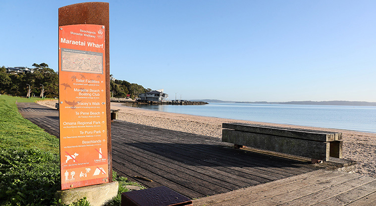 Maraetai Beach Path - Maraetai and short section of concrete path