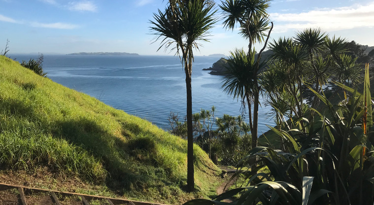 Matiatia Headland Path - This walkway is a local favourite, with stunning vistas.