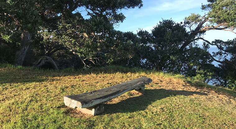 Matiatia Headland Path - A public seat generously provided by a local property owner.