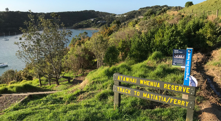 Matiatia Headland Path - At the car park at the top of the road, go down the steps and head right back to Matiatia via Atawhai Whenua Reserve.