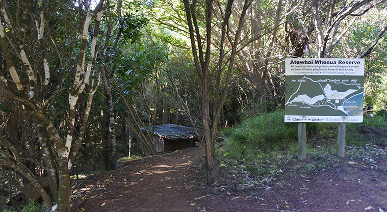 Matiatia to Oneroa Forest Path - This is a Forest and Bird project, please respect the rules and enjoy your bush walk.