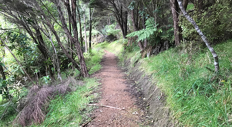 Matiatia to Oneroa Forest Path - The gravel track is good all year round.
