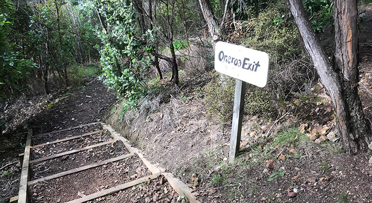 Matiatia to Oneroa Forest Path - Near the end of the track, look out for the small sign by the steps, go left to reach Oneroa’s main street.