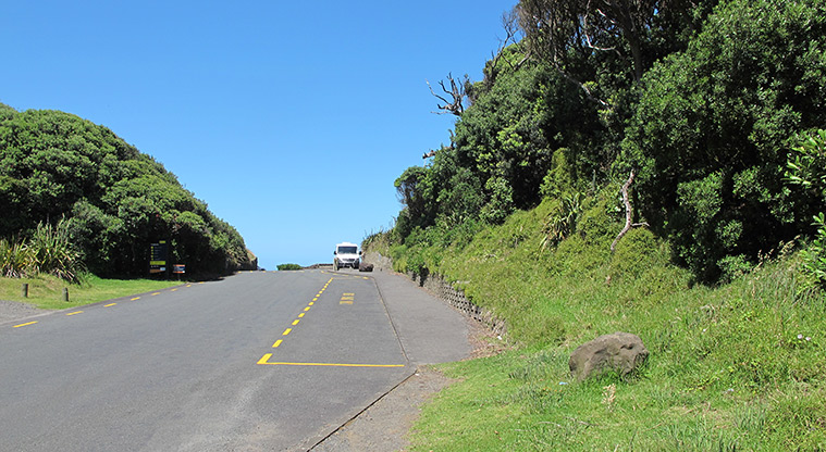 Maukatia Gannet Track - Follow track at Maukatia Bay alongside car park.