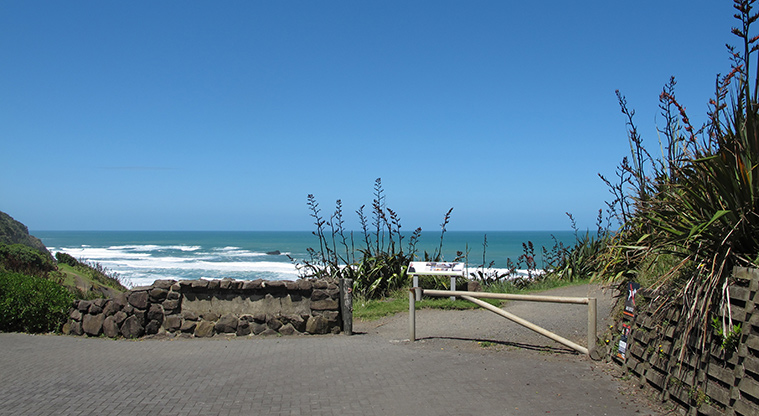 Maukatia Gannet Track - Track leading to the gannet colony.