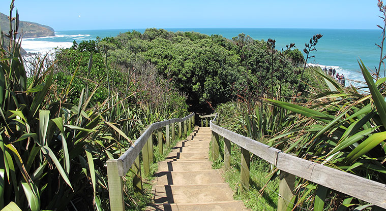 Maukatia Gannet Track - Steps down to first lookout.