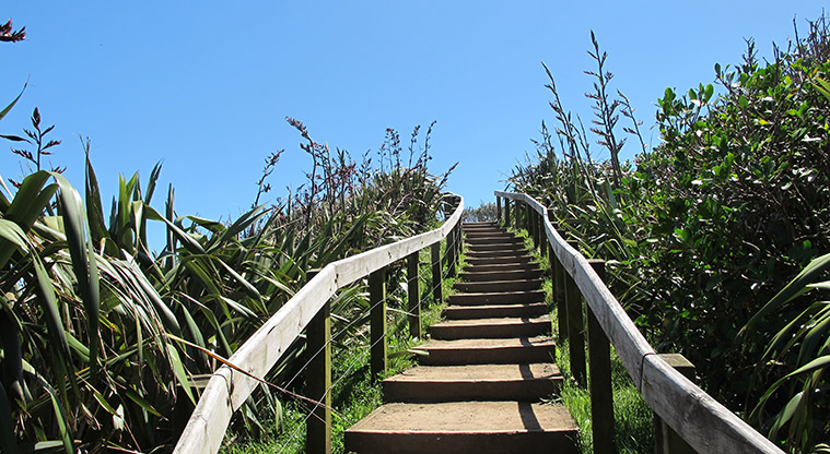 Maukatia Gannet Track - Steps to second lookout.