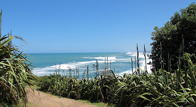 Maukatia Gannet Track - Views over Muriwai.