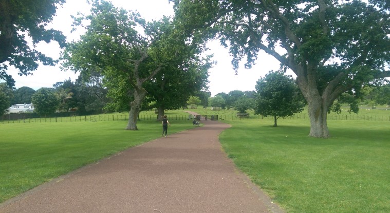 Maungakiekie / One Tree Hill Path - Section of the sealed path through One Tree Hill Domain.