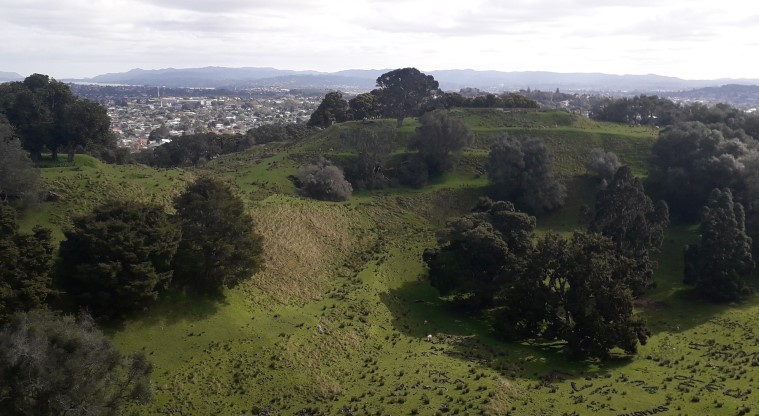 Maungakiekie / One Tree Hill Path - View to your left as you walk up.
