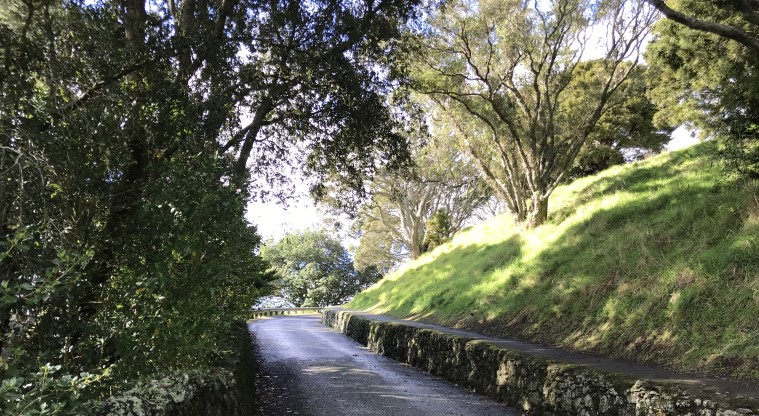 Maungawhau / Mt Eden Path - A section of the concrete path heading up to the summit.