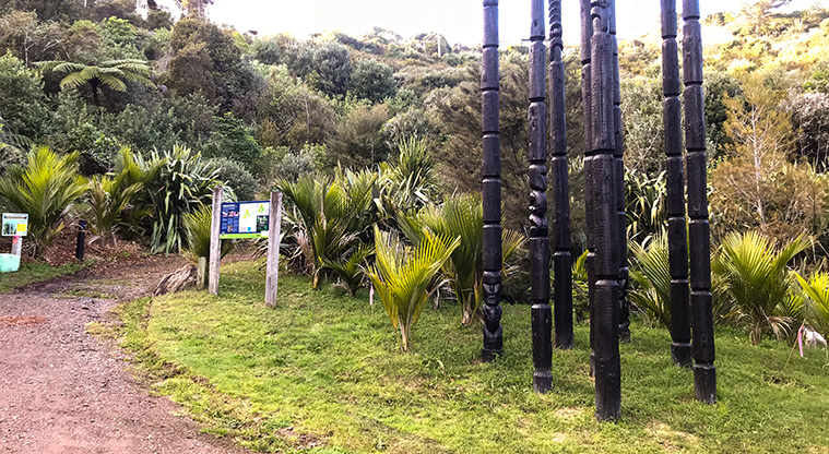 McKenzie Reserve Path - At the pou sculpture, enter the reserve to the left of the main sign.