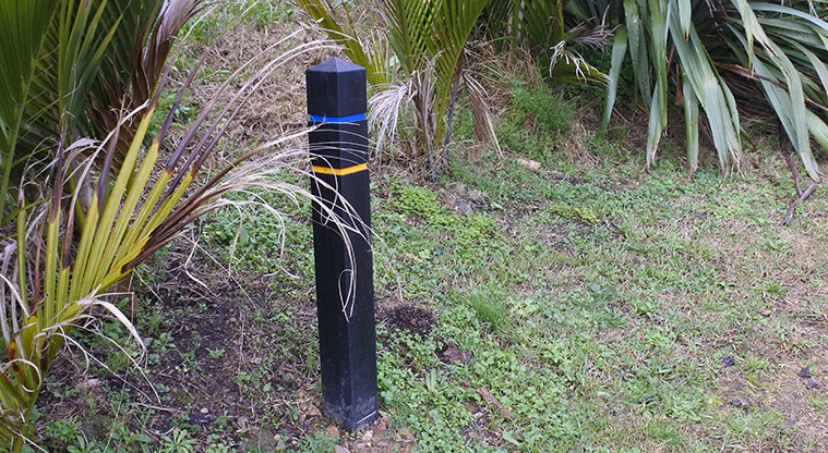 McKenzie Reserve Path - Follow the yellow track markers around the reserve. The blue markers route is a shorter and more direct route to Sandy Bay.