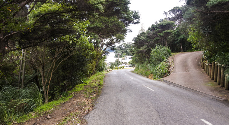 McKenzie Reserve Path - On Coromandel Road, turn right and walk to Sandy Bay.