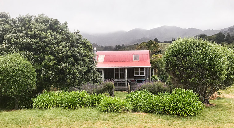 Medlands Beach Path - Some baches are tucked away, with beautiful established gardens.