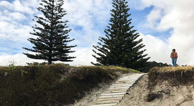 Medlands Beach Path - Many of the beach access points are marked by a big tree.