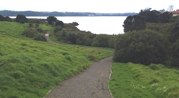 Meola Reef Path - A view from the path over the Waitematā Harbour.