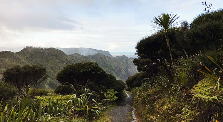 Mercer Bay Loop Track - The track slowly descends towards the coast.