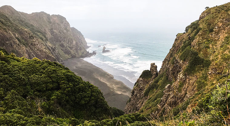 Mercer Bay Loop Track - The first part of the track leads though low scrubland and flax fields, with good views of the surrounding hills.