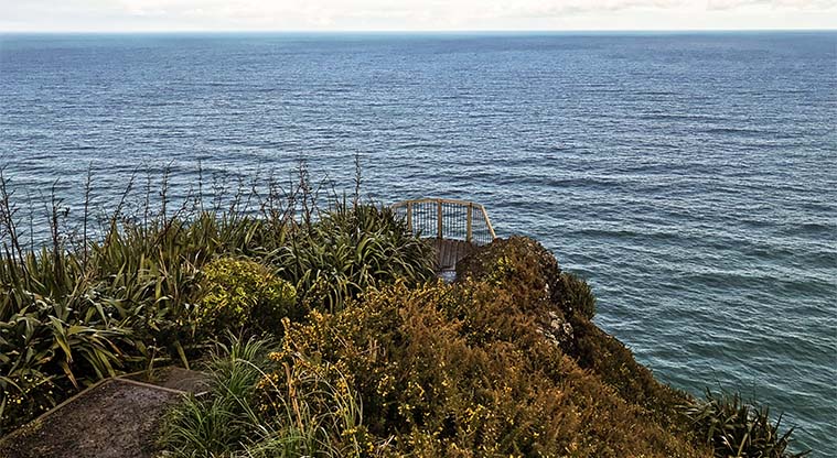 Mercer Bay Loop Track - Make sure you descend to the little lookout platform to get the best views, both to the north and south.