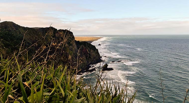 Mercer Bay Loop Track - You can look all the way towards Whatipu at the mouth of the Manukau Harbour from this point.