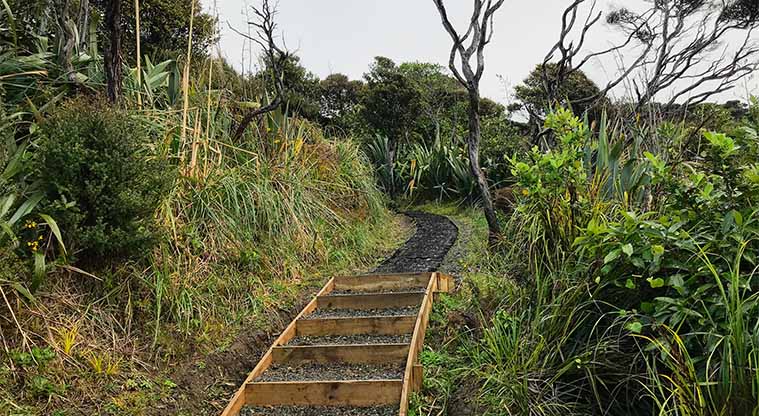 Mercer Bay Loop Track - From the pā site, head up the coastal track to the north, back up to Te Ahuahu Road.