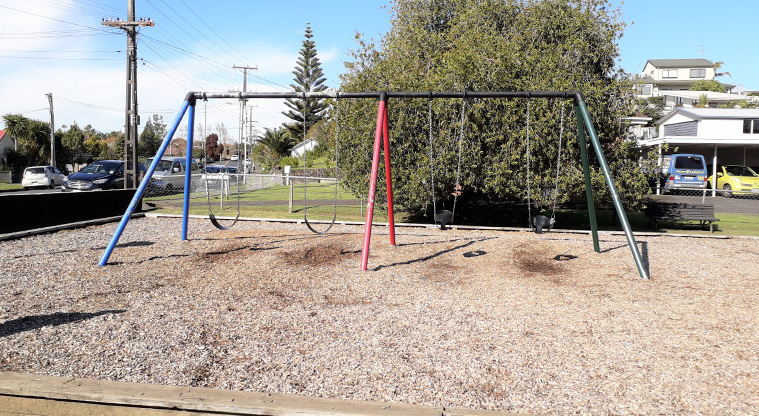 Michaels Avenue Reserve Path - The playground swing in Michaels Avenue Reserve.