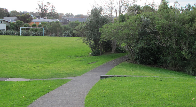 Michaels Avenue Reserve Path - The path entry into the wetland area.