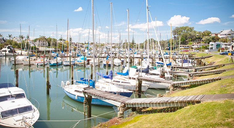 Milford to Castor Bay Path - A view of the boats at Milford Marina.