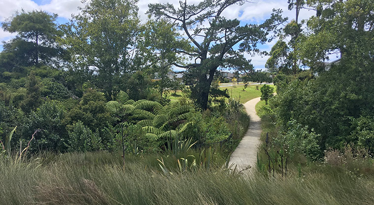 Millwater Path - Side tracks connect to local streets.