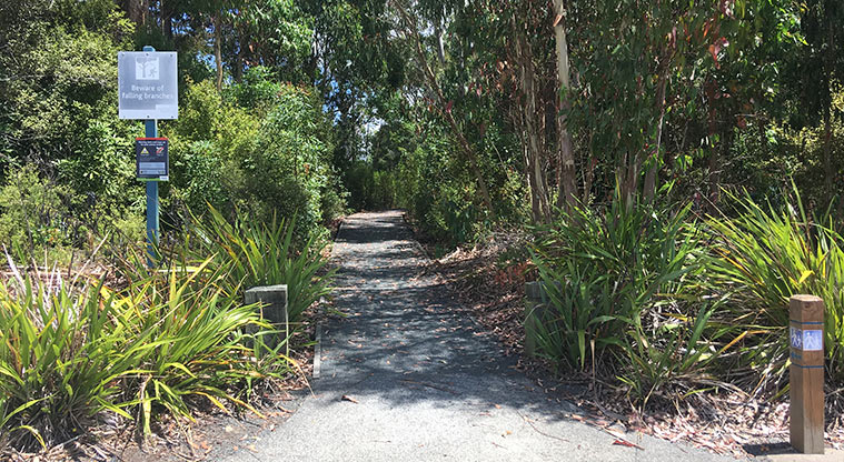 Millwater Path - Optional bush side tracks from Millwater Parkway.