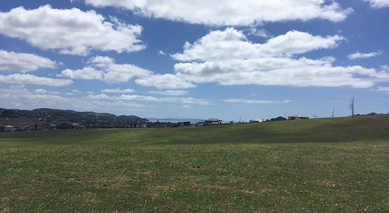 Millwater Path - Views over Butler Stoney Park.