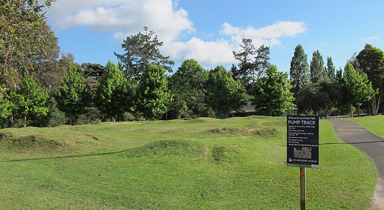 Moire Park Path - Grass pump park in Moire Park.