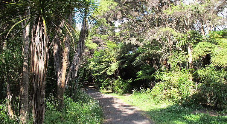 Moire Park Path - Walk through tranquil bush setting.