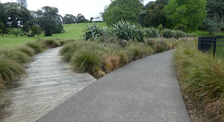 Monte Cecilia Path - Path section entering the wetland area.