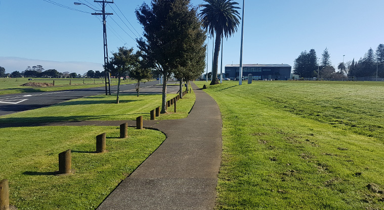 Mountfort Park Path - A typical section of path along the road.