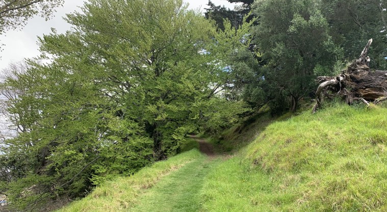 Ōtāhuhu / Mt Richmond Path - Grassy section of the path heading towards the water tower.