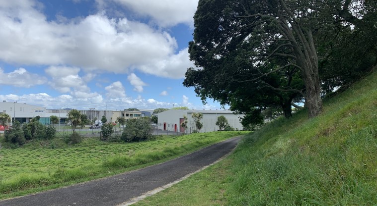 Ōtāhuhu / Mt Richmond Path - Section of the path alongside the reclaimed swampy floor of the Ōtāhuhu explosion crater.