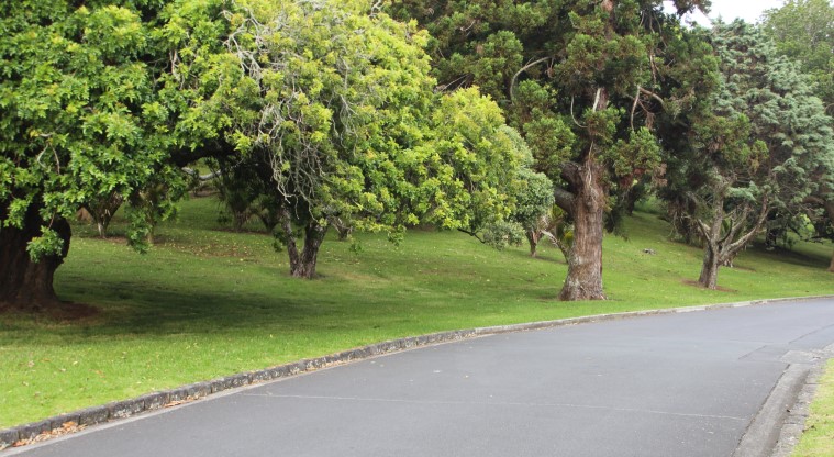 Pukewīwī / Puketāpapa / Mt Roskill Path - Start of the path.