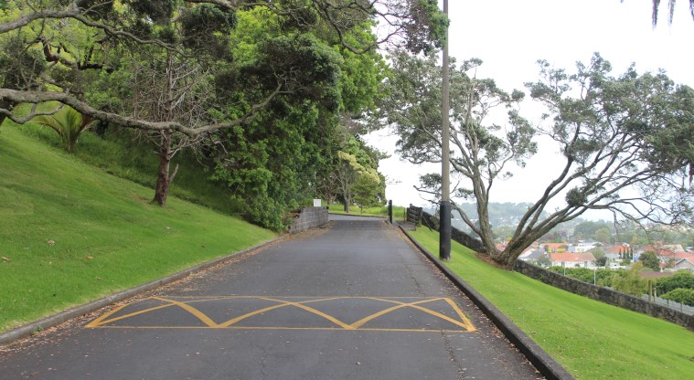 Pukewīwī / Puketāpapa / Mt Roskill Path - Typical section of the sealed path.