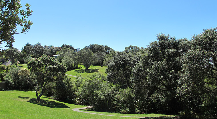 Murrays to Rothesay Bay Path - Uphill section of Clifftop Walkway.