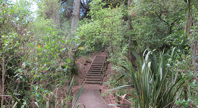 Murvale Path - The path does include some steps.