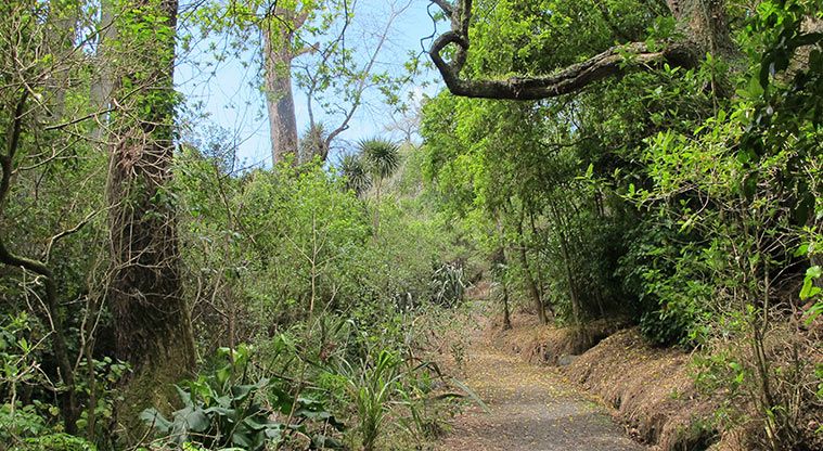 Murvale Path - Typical section of the path.