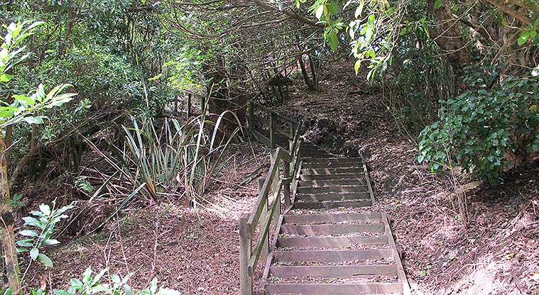 Murvale Path - There are a few stairs at the Bleakhouse Road end.