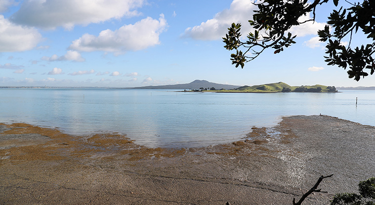 Musick Point Path - View form coastal edge.