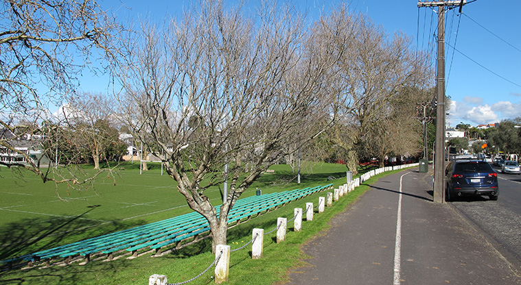 Narrow Neck to Devonport Path - The path runs alongside Devonport Domain.