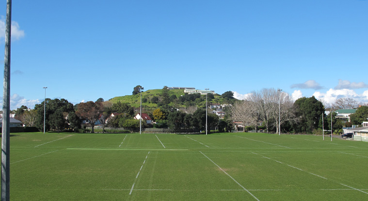 Narrow Neck to Devonport Path - The sport fields at Devonport Domain, with a view of Maungauika in the background.