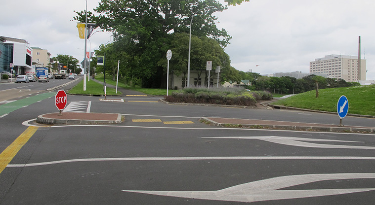 Newmarket to Ferry Terminal Path - Turn off Carlton Gore Road into the Auckland Domain.